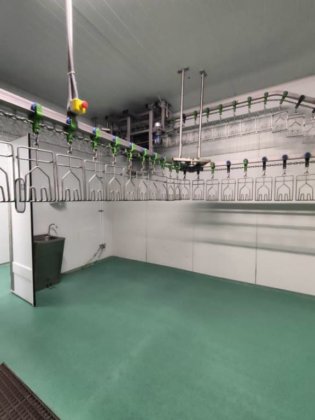 2017 年 Bayle 家禽生产线，产量 1,500