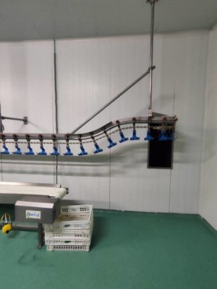 2017 年 Bayle 家禽生产线，产量 1,500