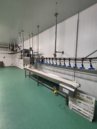 2017年 養鶏ライン、ベイル、1.500 bph