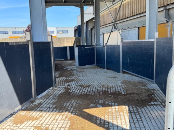 2015年 ショートライン、クーディック・マドレ、時速150マイル