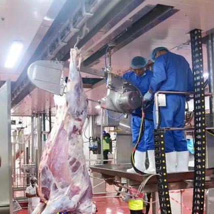 出厂价专业屠宰场设备 牛胴体带式分割锯 优质奶牛屠宰机