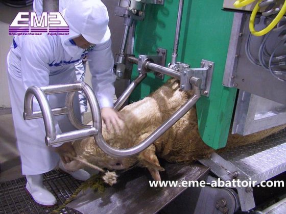 中国制造 生产活牛祭祀清真宰杀箱 牛屠宰场机械 屠宰场屠宰设备