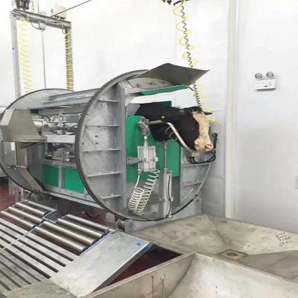 清真屠宰场旋转式屠宰设备 用于屠宰场牛肉加工的机器