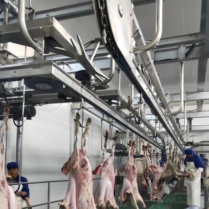 用于清真屠宰场的完整生产线立式胴体加工输送机