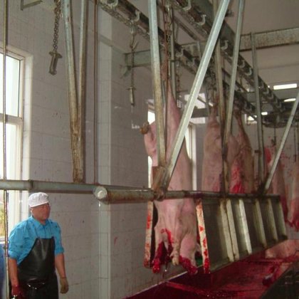 生猪屠宰场管式猪肉胴体加工输送轨道 用于生猪屠宰线 生猪屠宰场设备出厂价