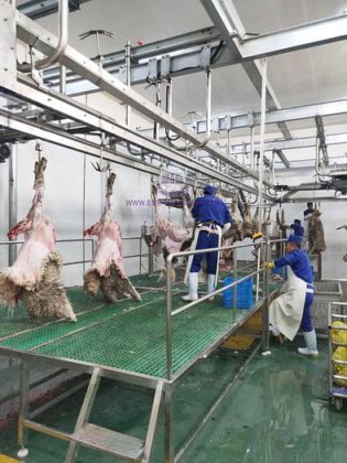 羊肉清真屠宰场全套绵羊屠宰线设备，附带山羊屠宰机