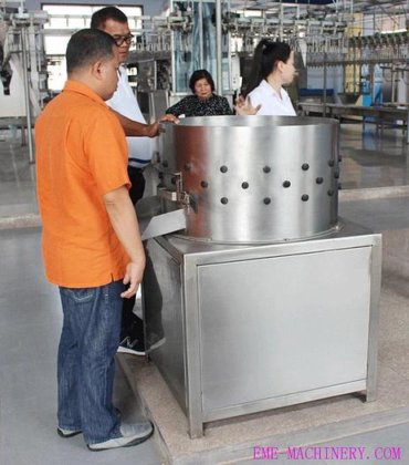 自动拔毛鸡去毛机 屠宰场设备 屠宰场