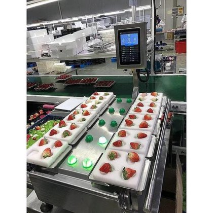 自动水果组合称重器