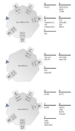 BD FACSLyric Flow Cytometer (3)Lasers(12)Colors/(14)Detectors
