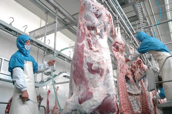 牛蹄脱毛机 屠宰工具 牛屠宰场设备 牛蹄脱毛机 肉类加工机