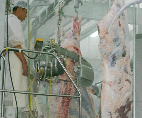 中国制造工厂化生产牛屠宰场机械屠宰设备胴体肉屠宰加工线