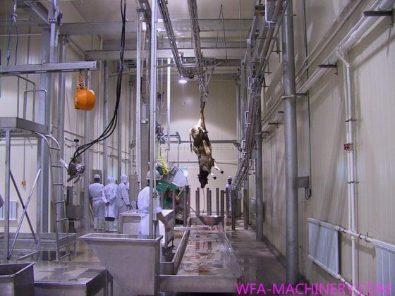 牛屠宰机械 牛出血自动输送导轨（管式导轨、双导轨、平导轨）