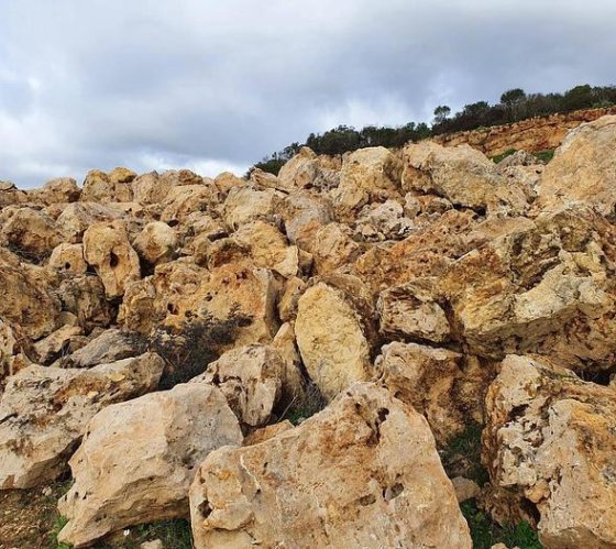 罗马/S. Severa 地区石灰石，数量众多且尺寸巨大