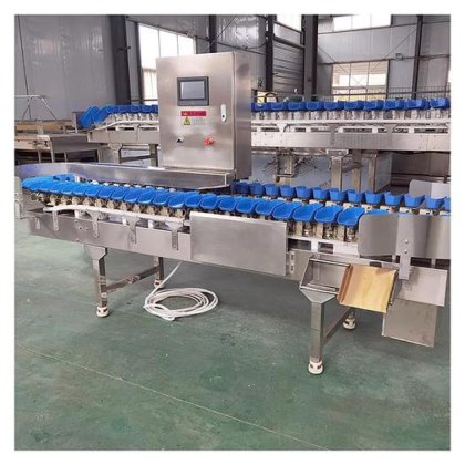 全自动蔬菜生产全套设备 红薯清洗分级流水线 烘干分选