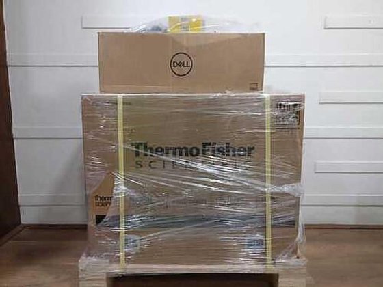 Thermo Fisher Quantstudio 5