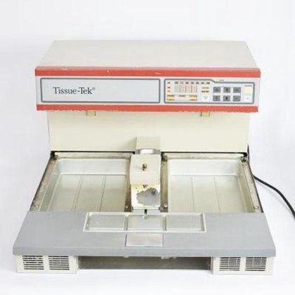 樱花解剖学套装