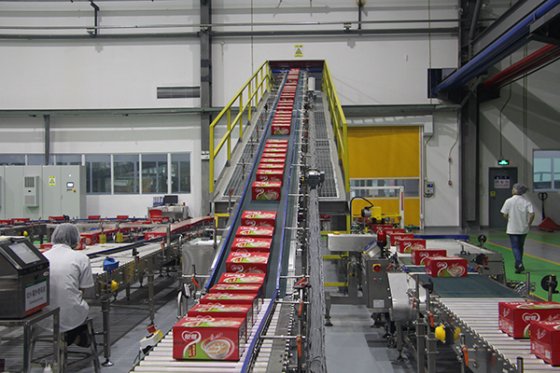 箱输送带 箱输送