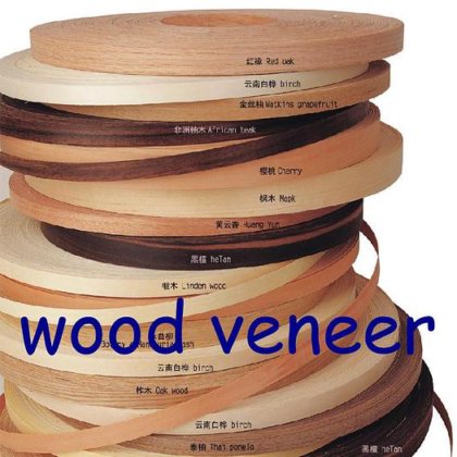 Veneer