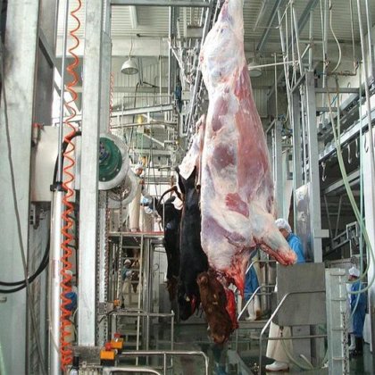 交钥匙屠宰场解决方案 牛羊屠宰场设备 用于清真牛屠宰场的洗头机