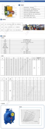 JT系列自吸排污泵