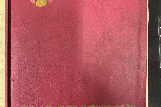 シュマルツ - RM 51 x