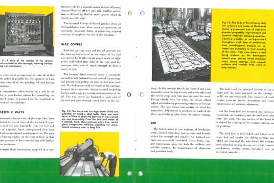 ファレル - 60" x 24