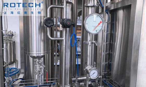 Rotech 纯蒸汽发生器