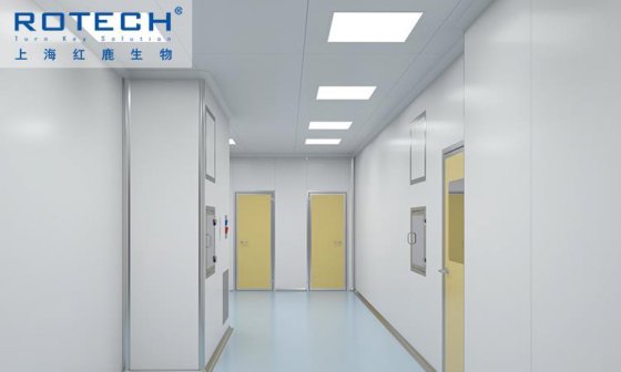 Rotech 灯