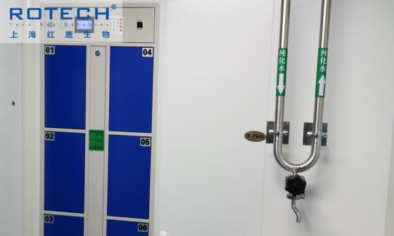 Rotech 门联锁装置