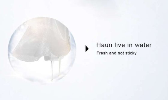 Rotech 晶透亮肤冻干面膜