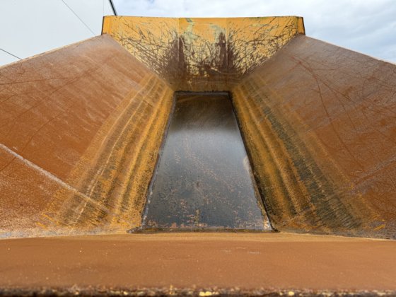 2007 Bergmann 3012DSK