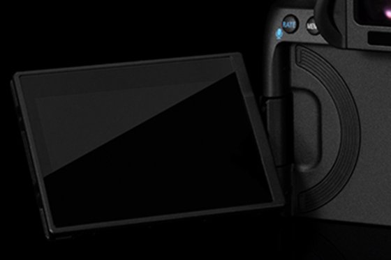 Canon EOS R5 × コントロールリングマウントアダプター