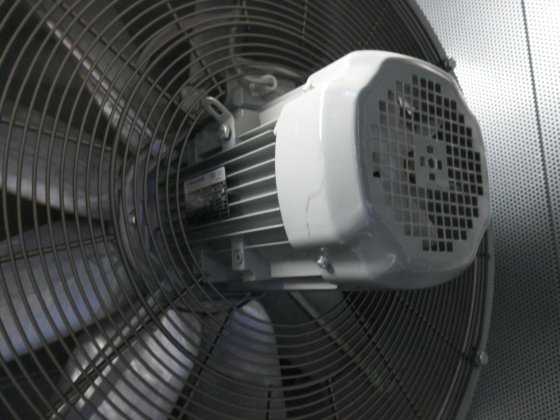 非常用ディーゼル発電機 6kV