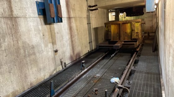 ダニエリ・カッティングソー2号 (2009)