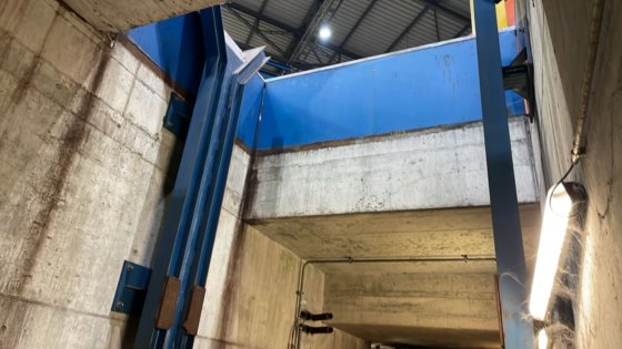 ダニエリ・カッティングソー2号 (2009)