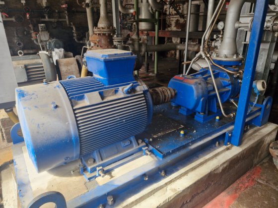 15台博内曼双螺杆泵,含双密封系统