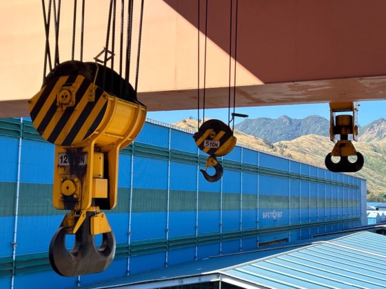 10 吨桥式起重机大成