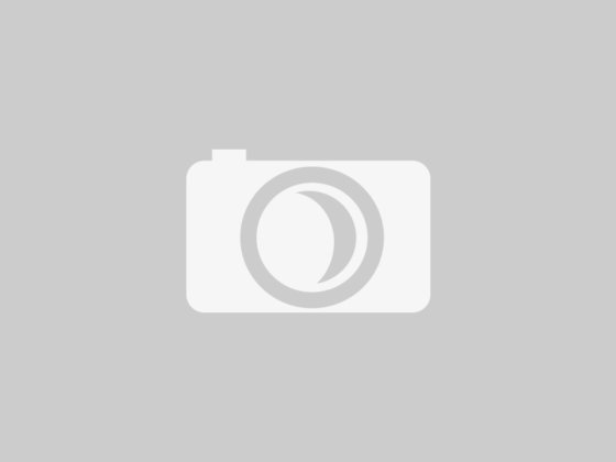 サタケ ＮＰＳ３５０ＤＸＡＭ