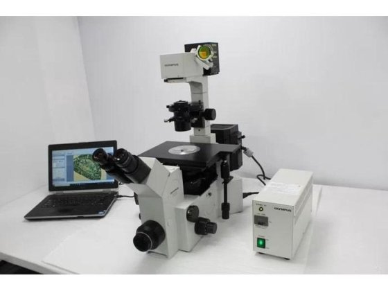 Olympus IX70 Inverted Fluorescence Microscope
