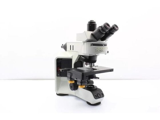 Olympus BX53 Fluorescence Motorized XY