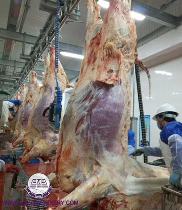 牛皮液压牵引机 牛屠宰加工厂 脱毛机 牛屠宰机械设备