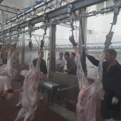 用于屠宰场肉类加工机械的高品质羊皮抽取机屠宰设备