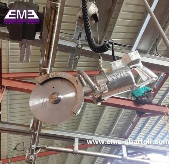 用于肉类加工的优质材料牛蹄筋切割机和圆锯切断机屠宰设备