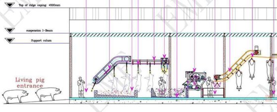 每小时屠宰 100 头猪的屠宰设备 生猪屠宰生产线 肉类加工机械