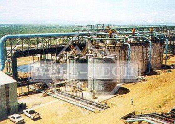 5吨黄金加工厂 Cil 黄金浸出厂
