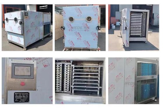 全自动商用冷冻干燥机肉类水果蔬菜海鲜蘑菇高品质热销