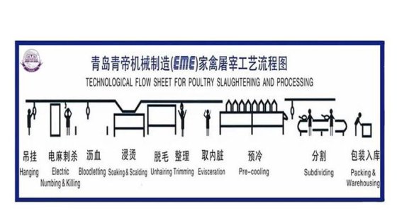 家禽屠宰场加工设备 活禽自动宰杀机械 宰鸡机
