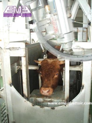 现代设计的清真牛屠宰场拌料生产线屠宰机械 牛肉屠宰场设备 奶牛屠宰机械