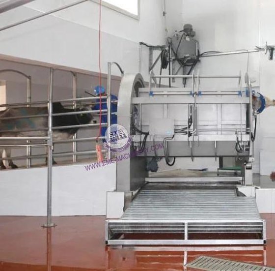 牛屠殺場向けハラール牛殺し機のベストプライス