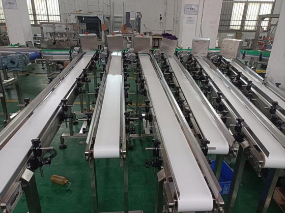 带制动法兰的水果输送带机 食品工业带式输送系统